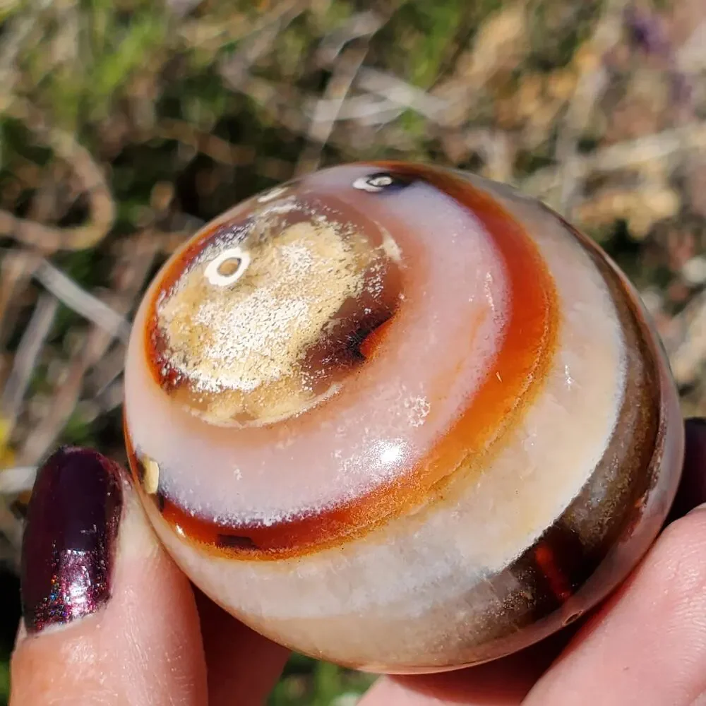 Eyes on Back Orca Agate Carnelian Stone Crystal UNIQUE Palmstone 180 grams